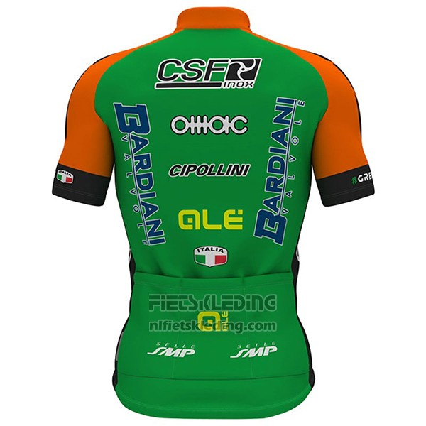 2017 Fietskleding Bardiani Csf Wit en Groen Korte Mouwen en Koersbroek